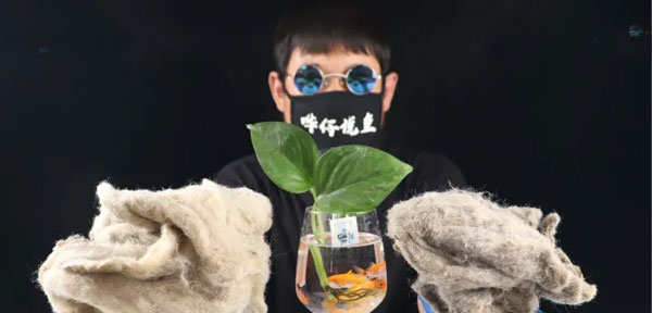 合肥鱼缸清洗